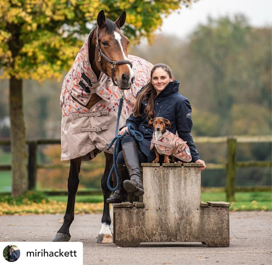 Weatherbeeta Dachshund Print with Miri Hackett at PetnPony